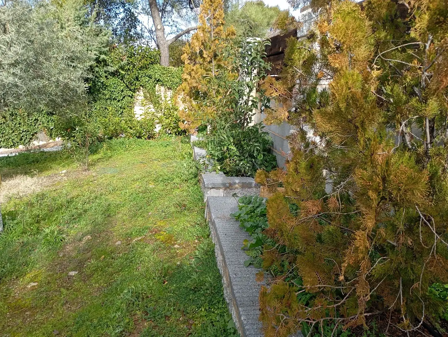 Jardí de Casa o xalet en venda en Robledo de Chavela amb Aire condicionat, Calefacció i Jardí privat