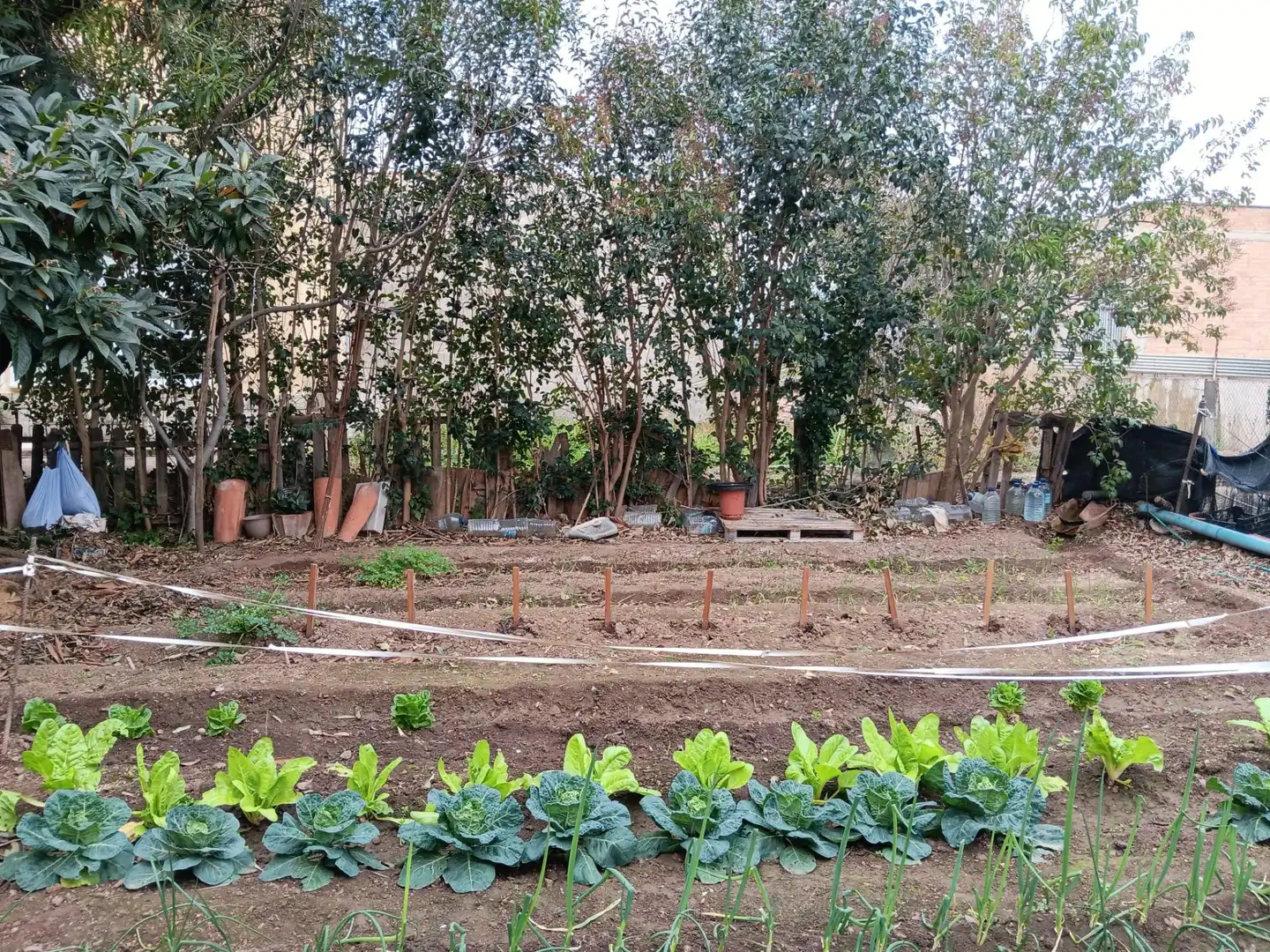 Garten von Country house zum Verkauf in Tortosa mit Heizung, Terrasse und Möbliert