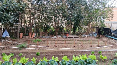 Foto 4 de Finca rústica en venda a Jesús - Els Reguers, Tortosa