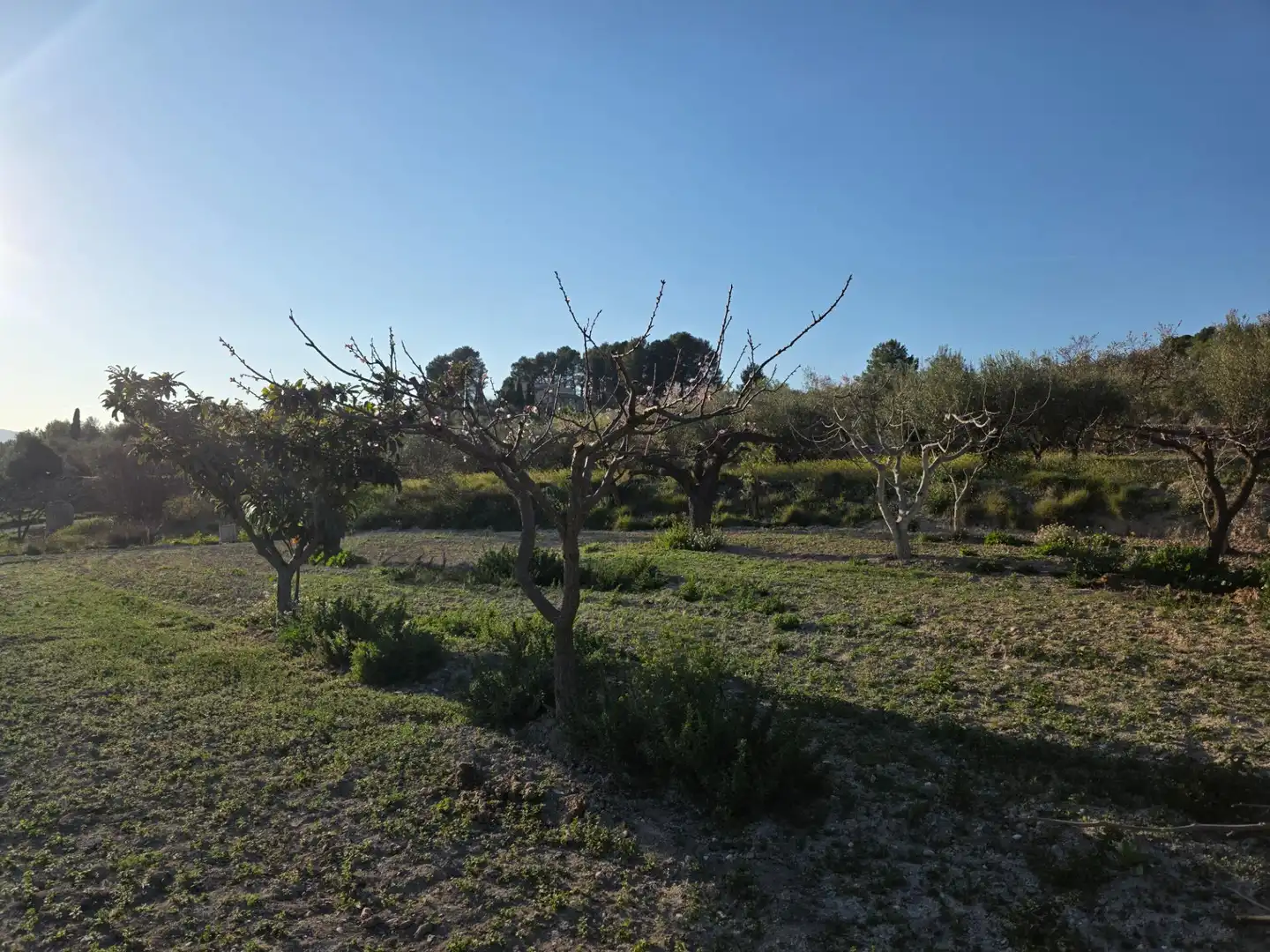 Finca rústica en venda en Gorga amb Terrassa i Traster