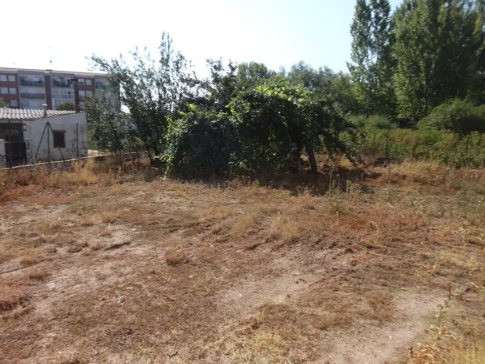 Casa o chalet en venta en Salas de los Infantes con Calefacción y Jardín privado
