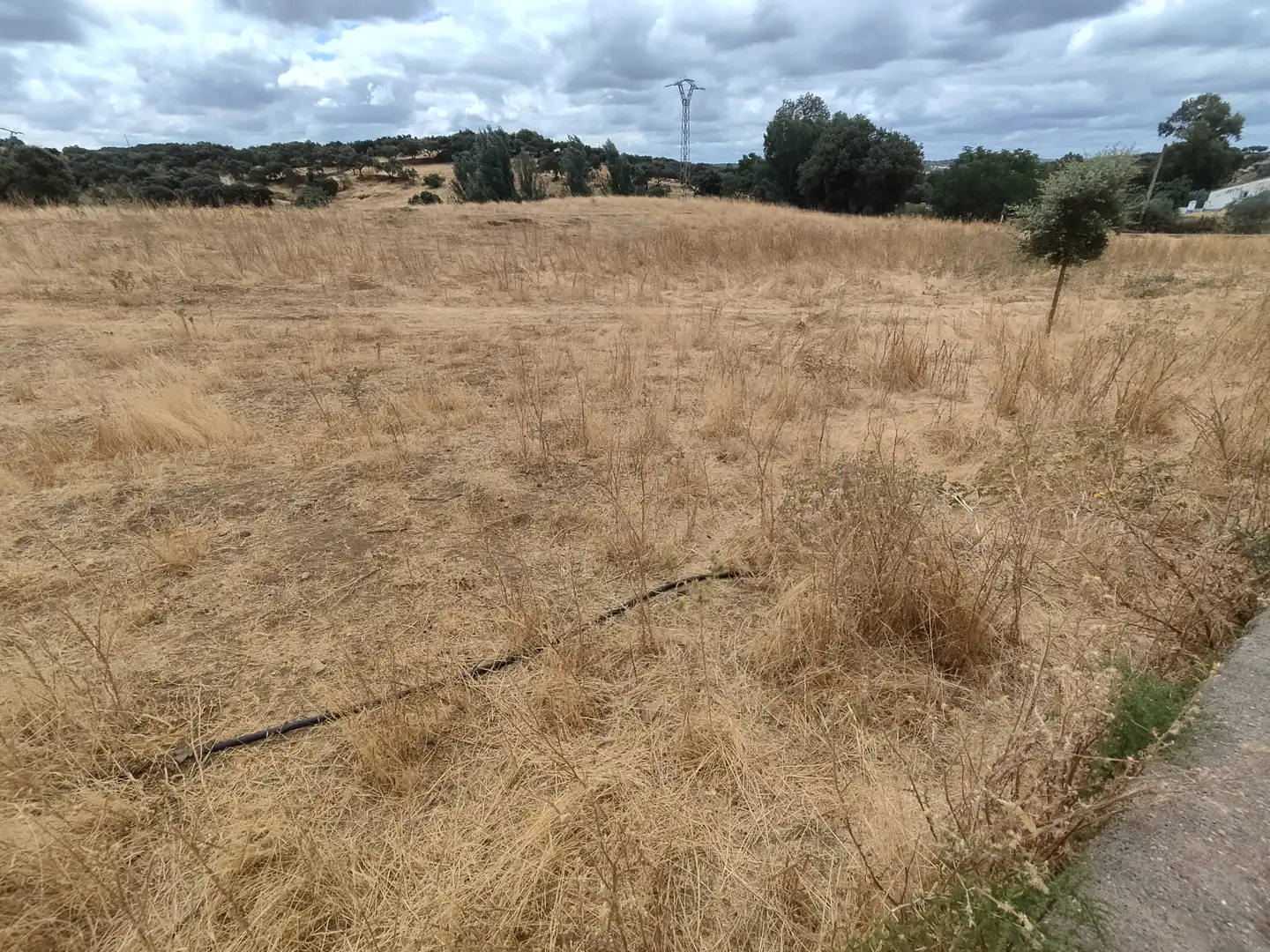 Terreno rustico in vendita a Burguillos del Cerro, imagen 6