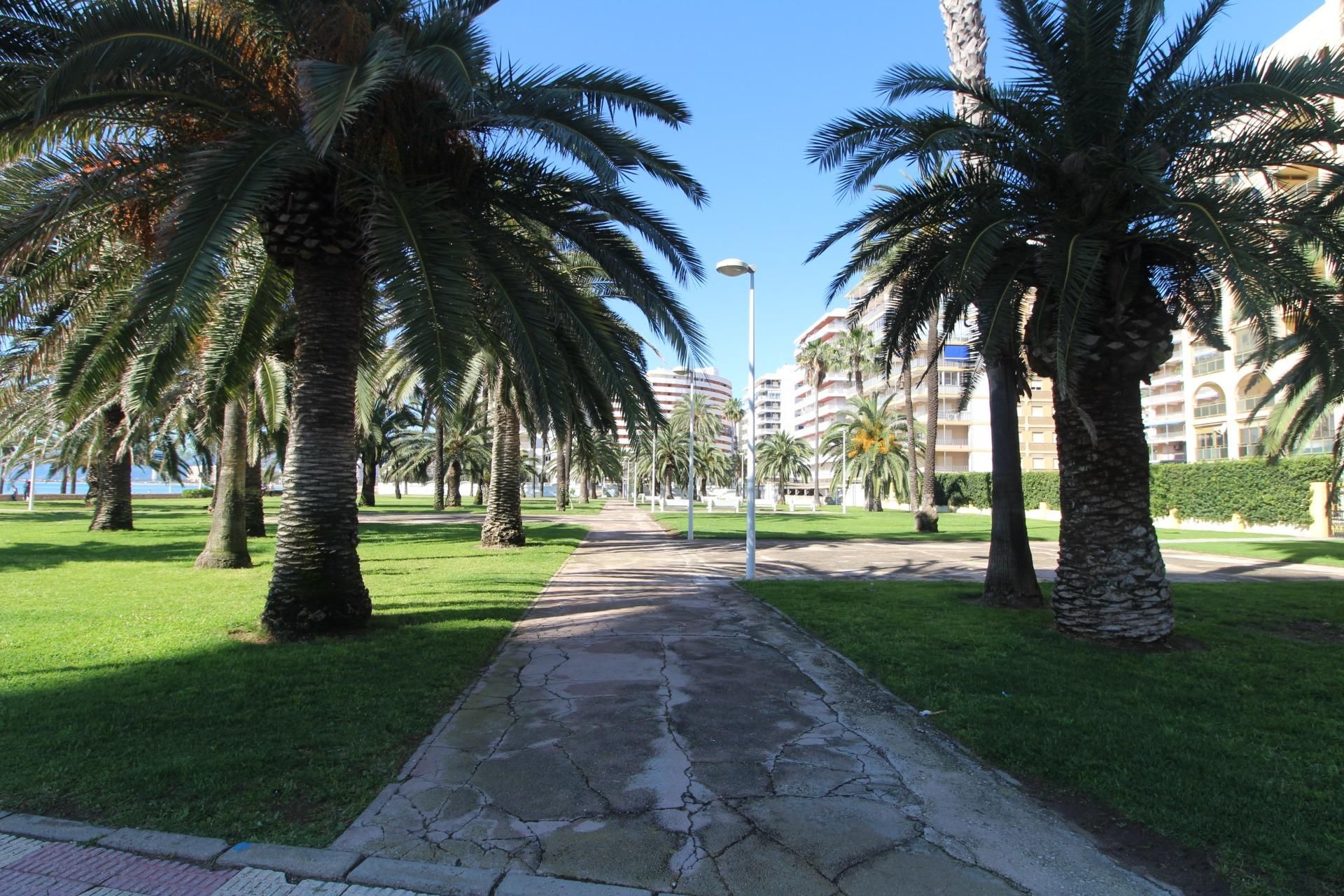 Vista exterior de Garatge en venda en Cullera