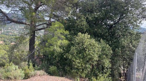 TERRENO CON MAGNIFICAS VISTAS, immagine 4