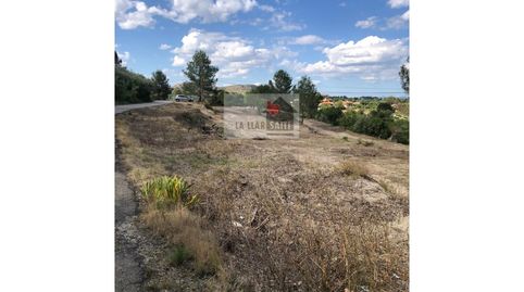 SE VENDE TERRENO RUSTICO EN BIXQUERT, immagine 2