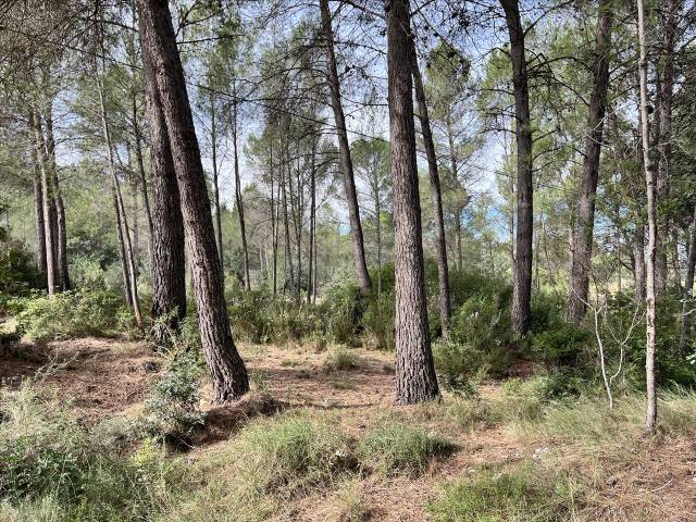 Terreno residencial en Venta en Polígono 23. Parcela en Bicorp