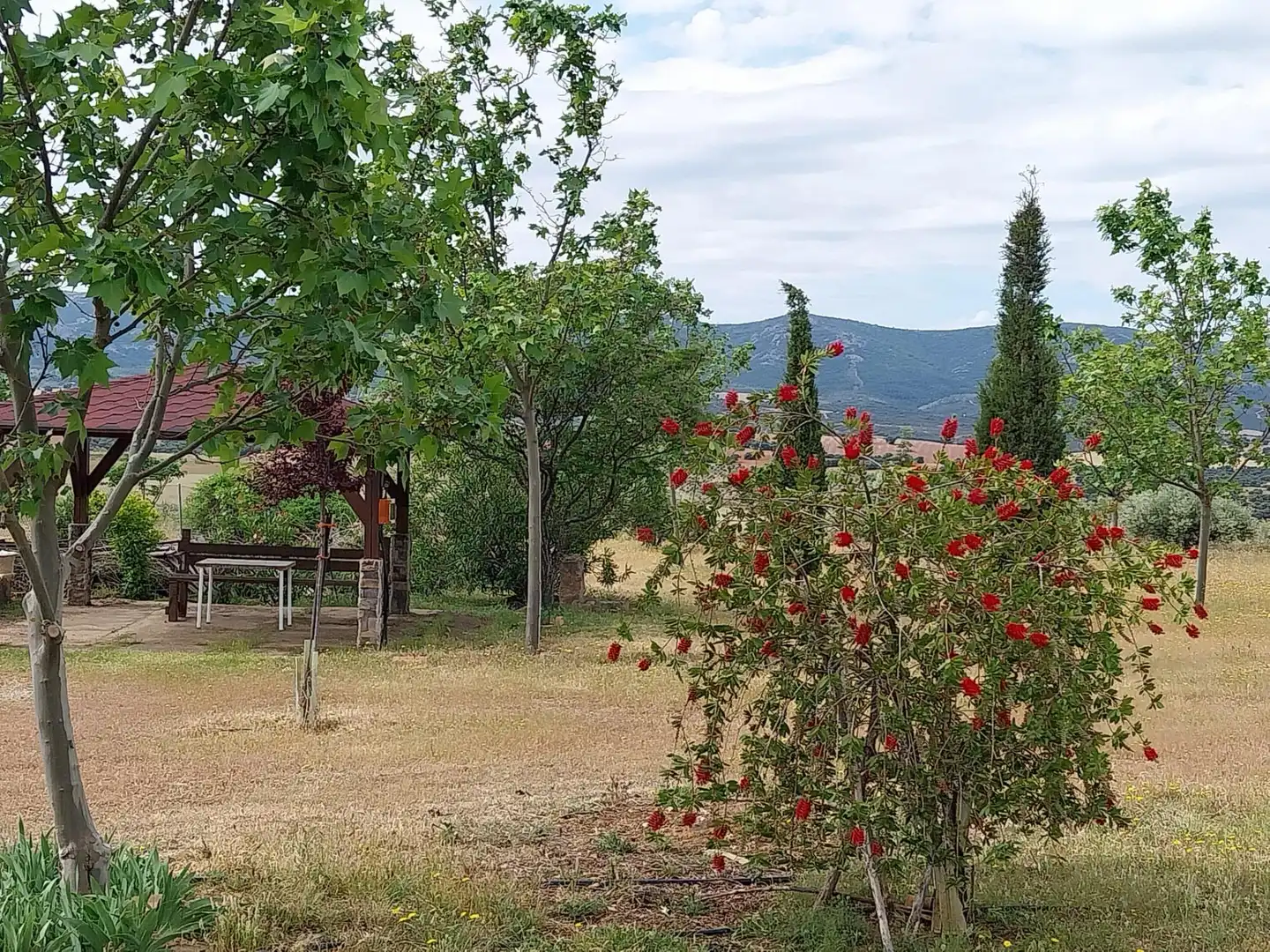 Casa en venta en Viso del Marqués, imagen 3