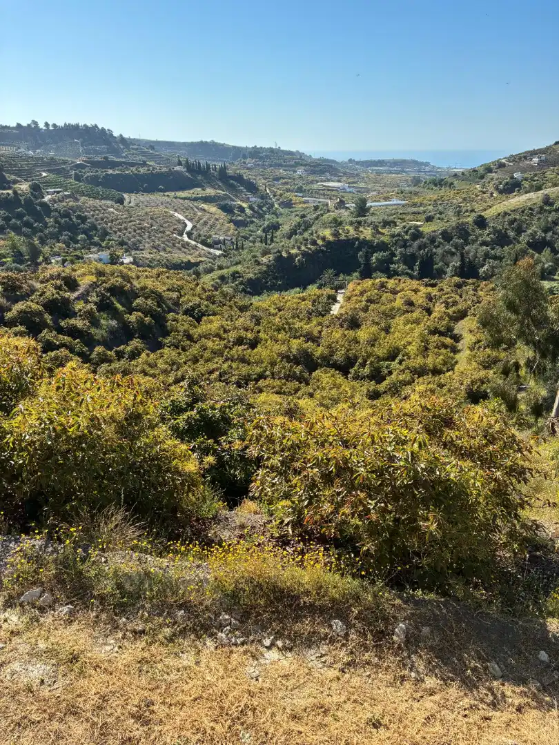 Finca rústica en venta en N/A, -1, Almijara