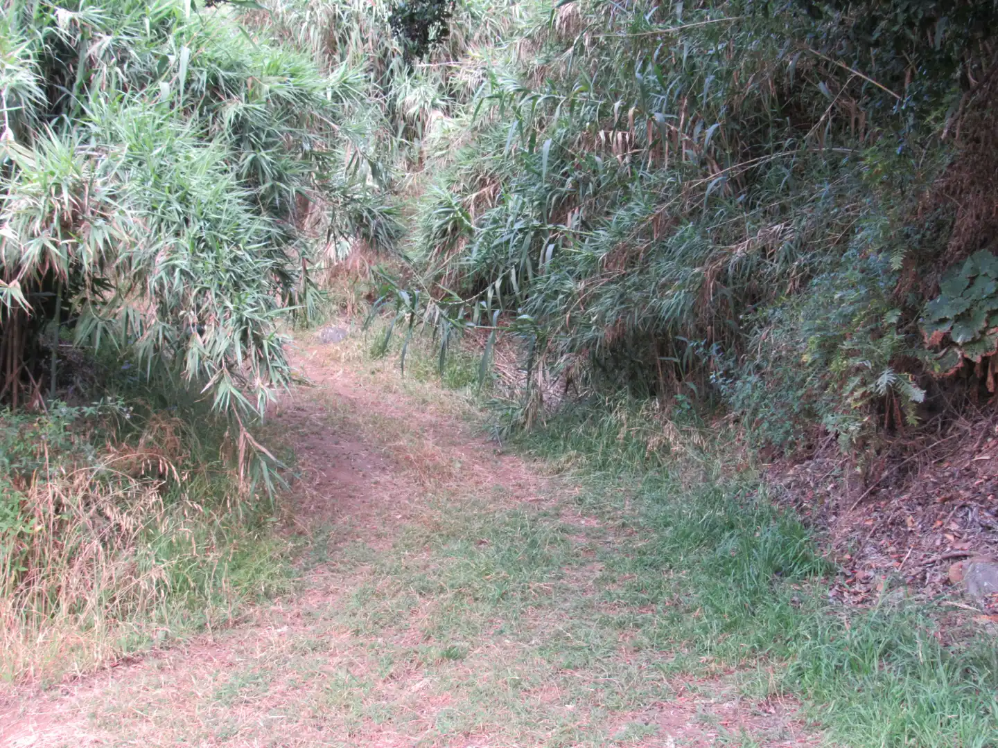 Land for sale in Moya (Las Palmas)