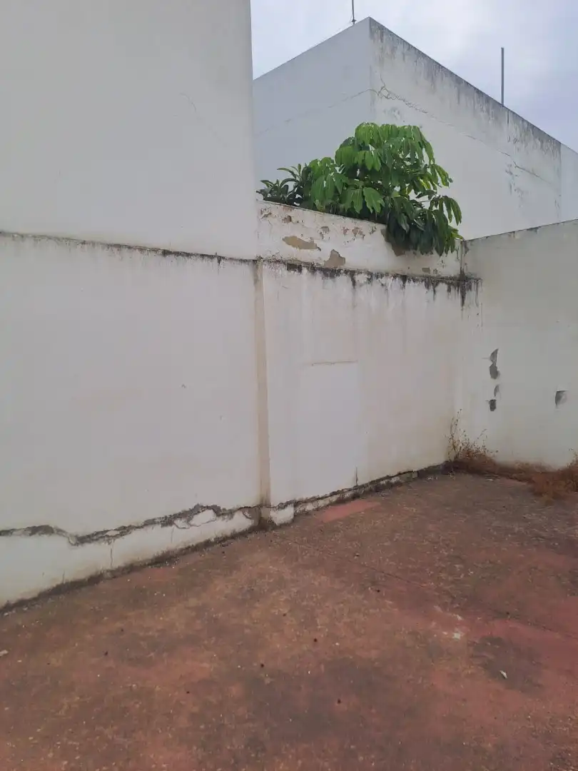 Exterior view of Houses for sale in Chiclana de la Frontera