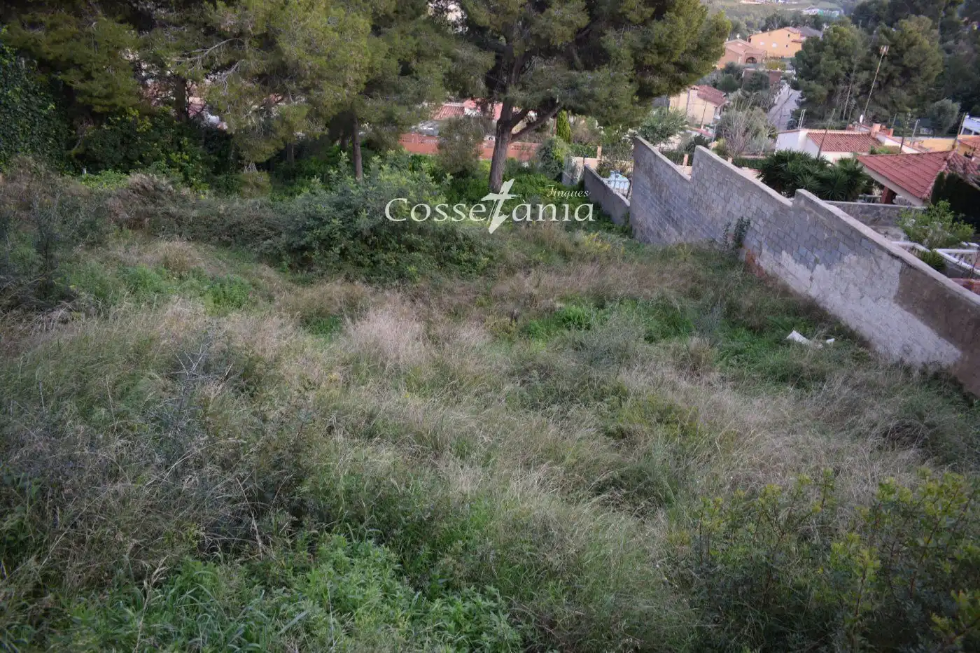 Terrain rustique à vendre à MAS CANYIS