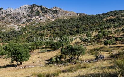 Country house for sale in Grazalema  with Air Conditioner, Private garden and Terrace