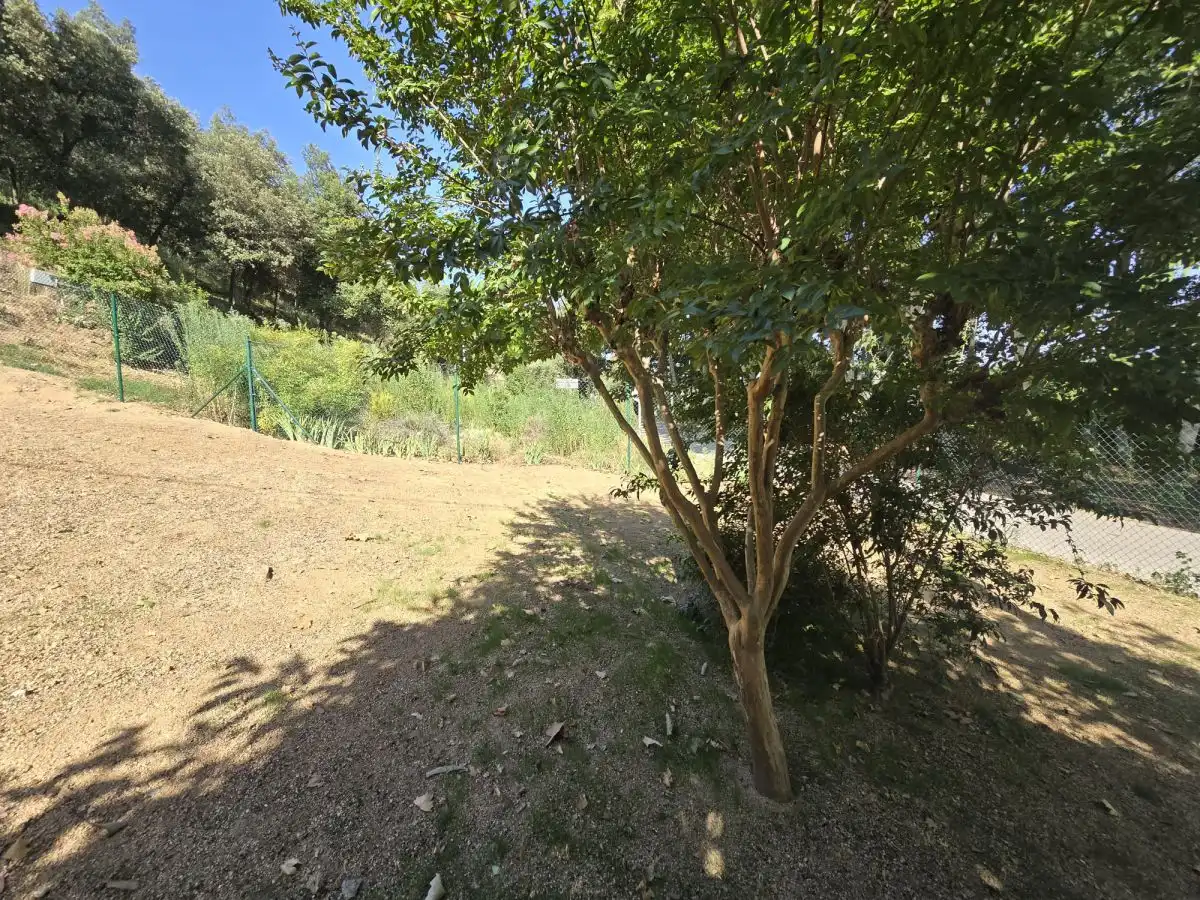 Casa rustica in vendita a Sant Gregori, imagen 58