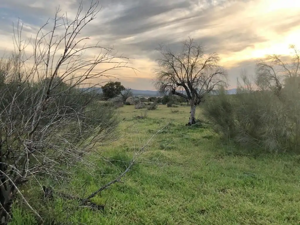 Casa rústica en venda a Aldea del Cano, imagen 2