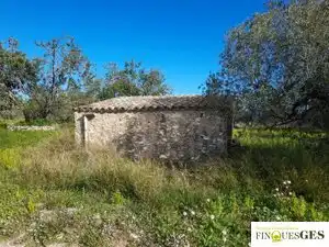 Terreno en venta en La Masó