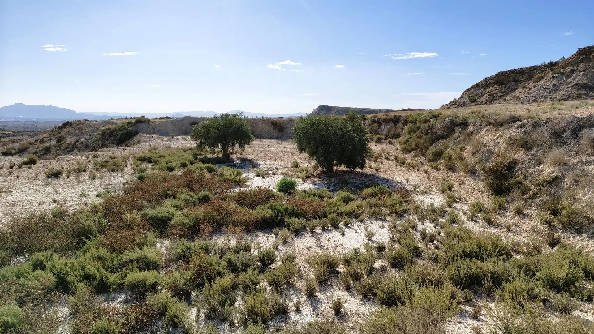 Rural land for sale in Fortuna, imagen 7