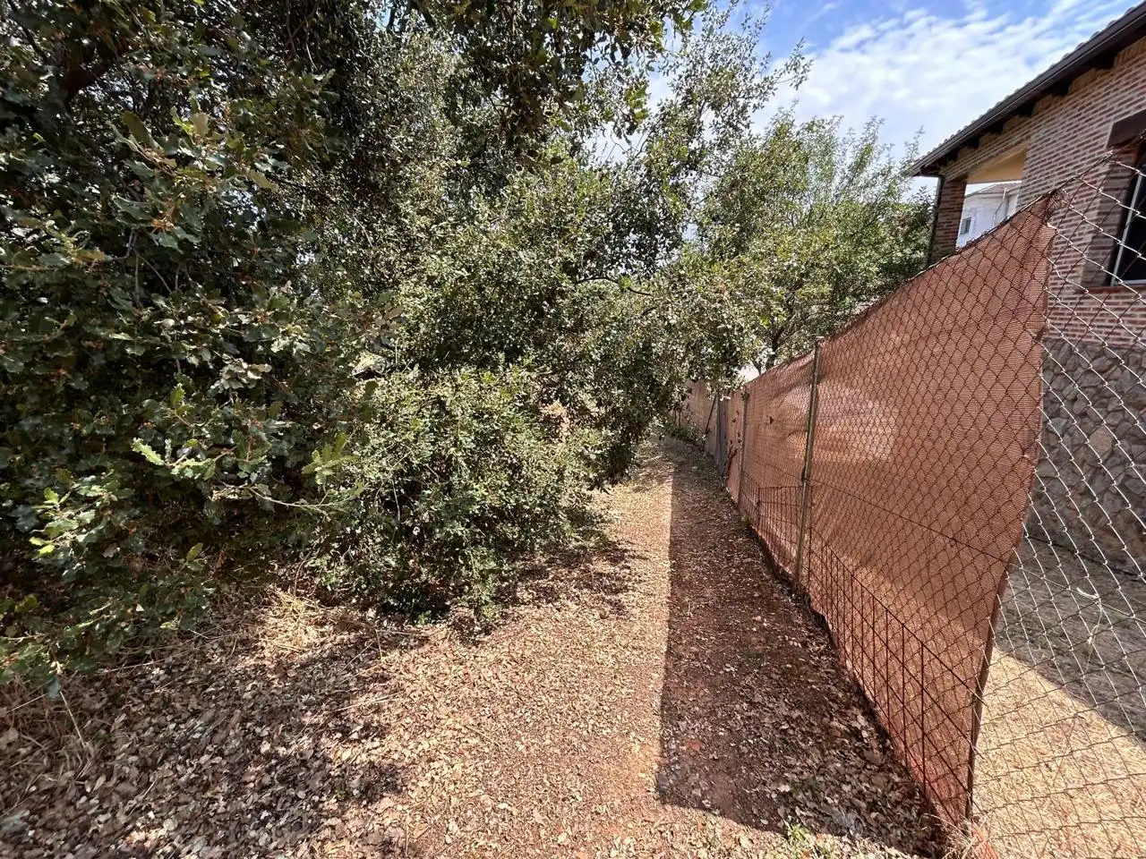 Lands and plots for sale in Calle el Roble, imagen 14