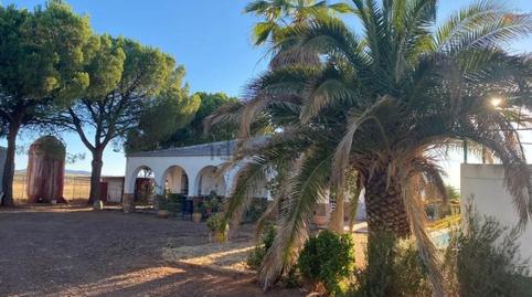 Photo 3 of House or chalet for sale in Granátula de Calatrava, Ciudad Real