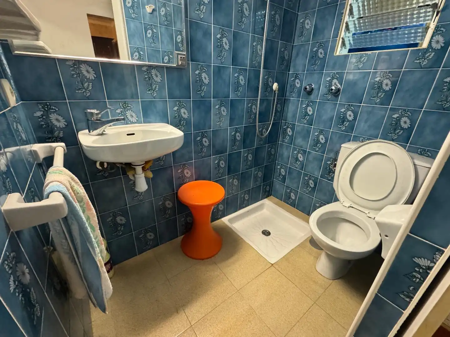 Baño de Casa o chalet en venta en Mercat - Mas Moixa