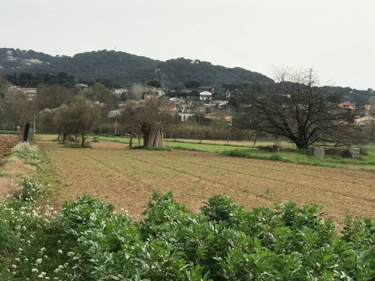 Rural land for sale in Vilanova del Vallès
