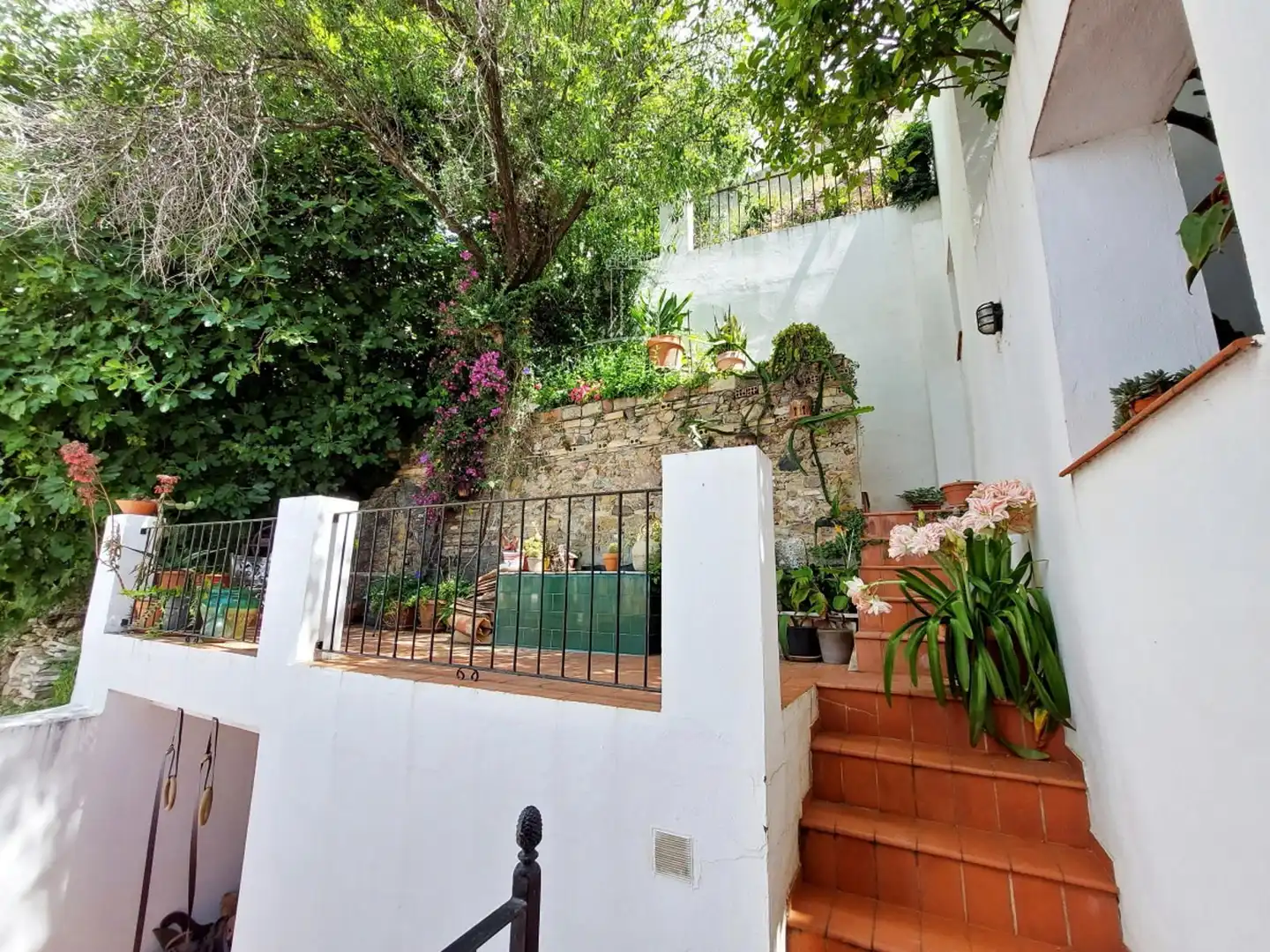 Garden of Detached homes for sale in Alcalá de los Gazules  with Heating