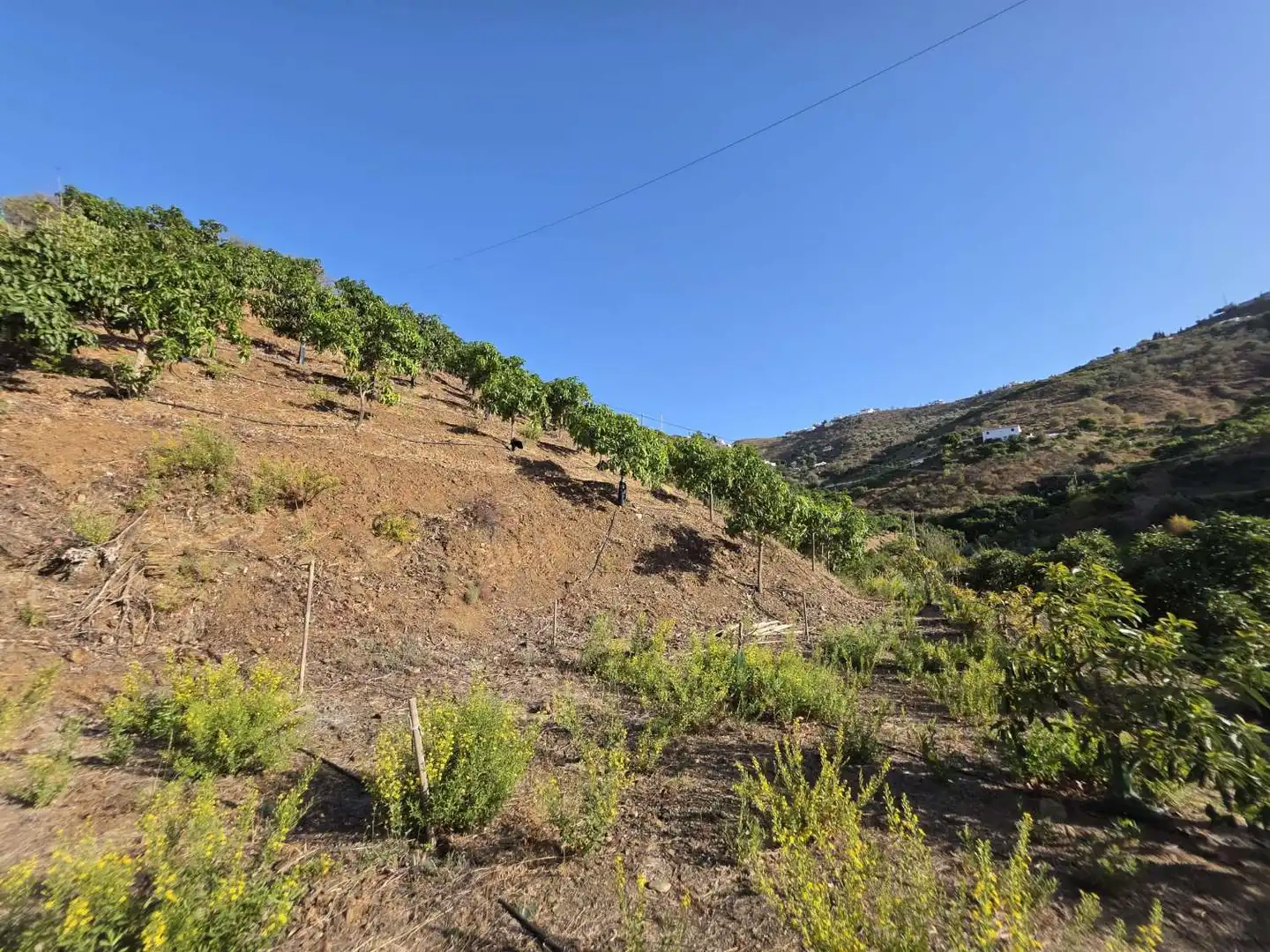Finca rústica en venta en Benamocarra con Terraza y Piscina