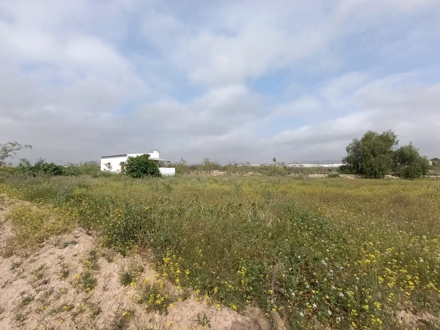 Residential for sale in Librilla