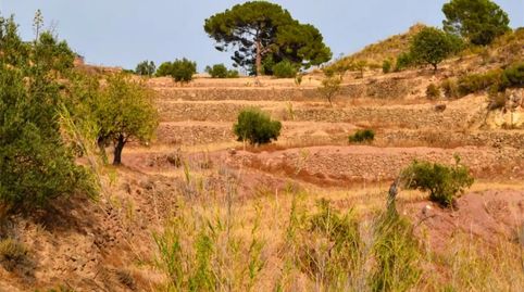 Foto 3 de Terreno en venta en Carrasquilla, Lorca