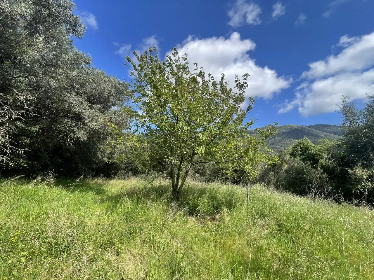 Country homes for sale in Sant Iscle de Vallalta  with Private garden, Terrace and Swimming Pool