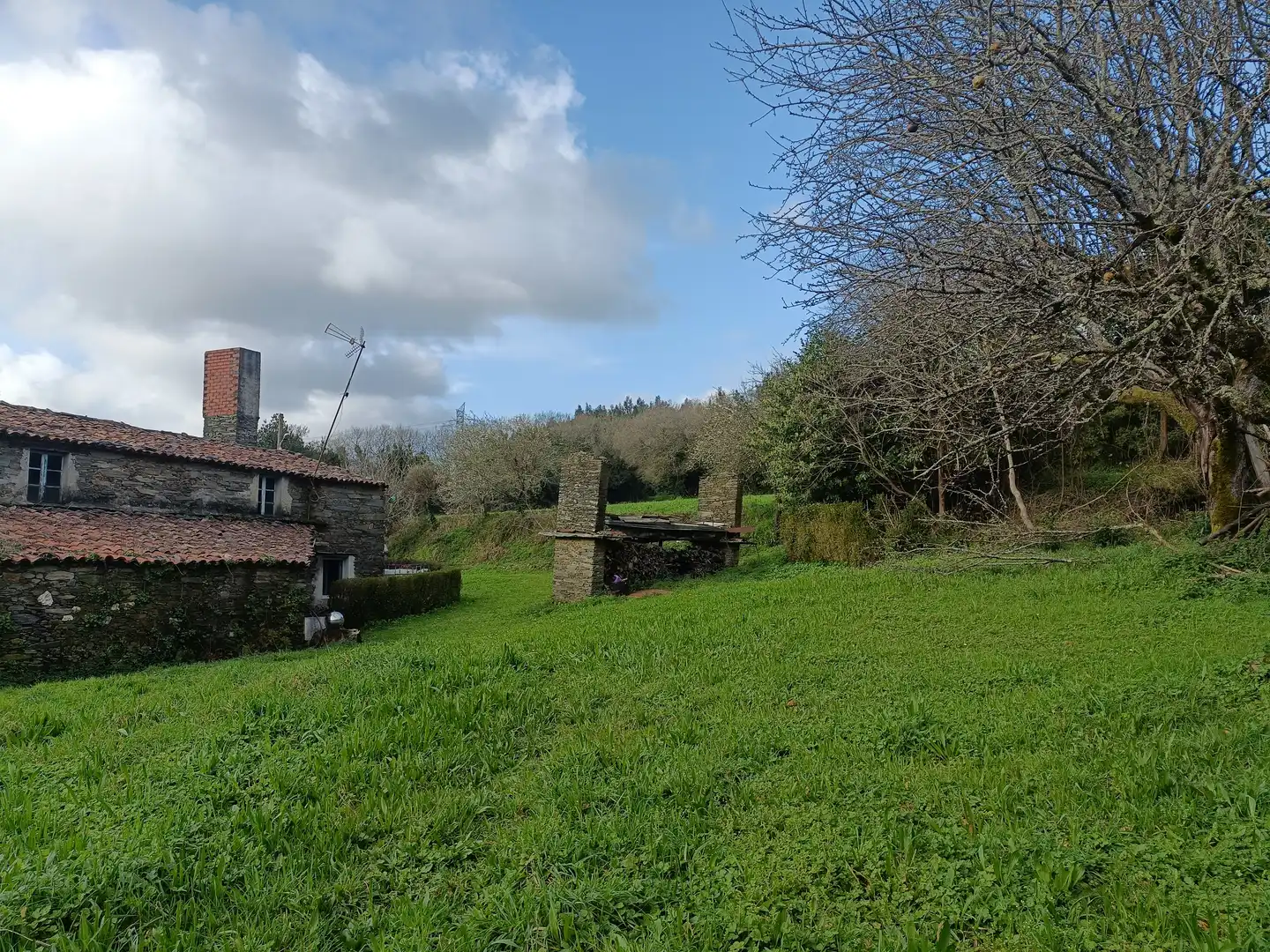 Casa o xalet en venda en Cesuras amb Jardí privat