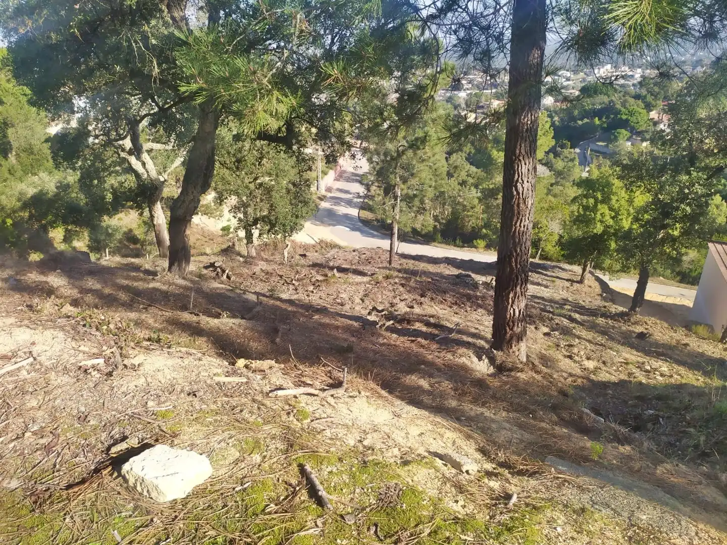Wohnbaugrundstück zum Verkauf in Montbarbat, imagen 6