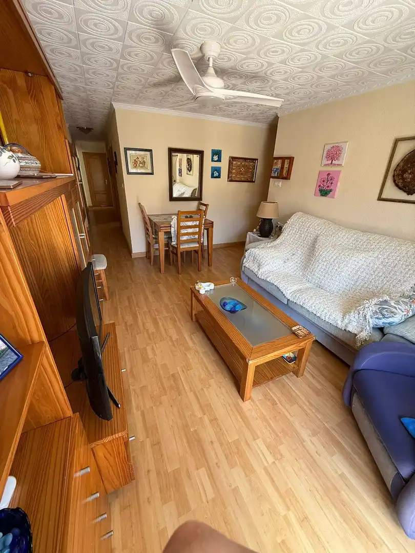 Sala d'estar de Apartament en venda en San Pedro del Pinatar amb Aire condicionat, Terrassa i Moblat