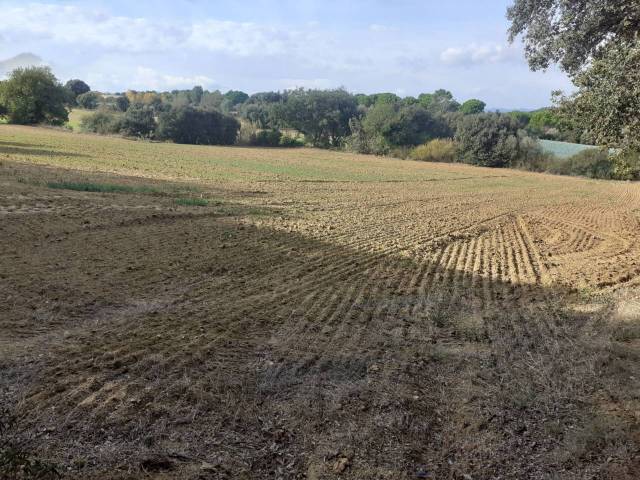 Terreno en Venta en Ullastret