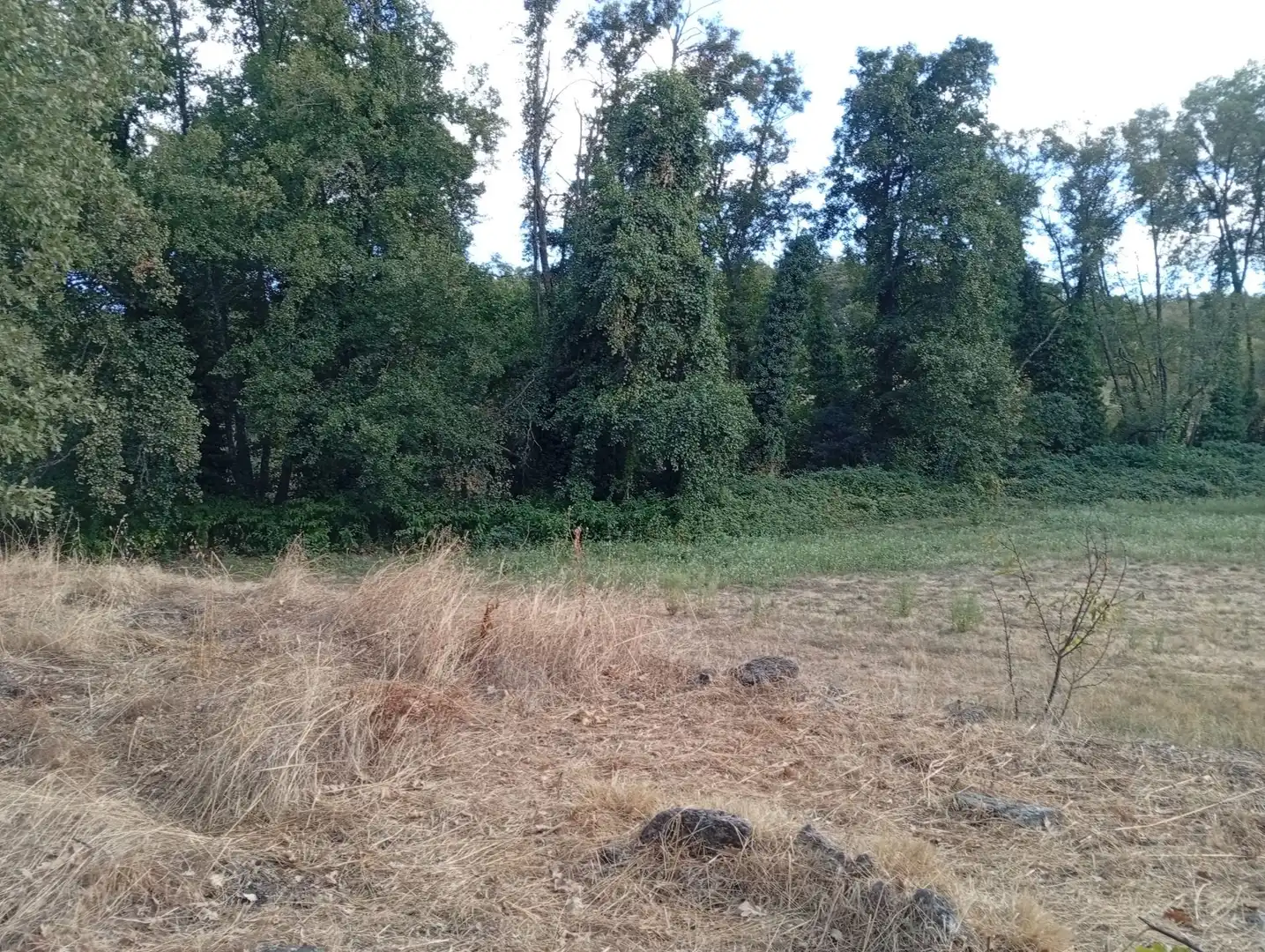 Terreni e lotti in vendita a Villanueva de la Vera, imagen 53