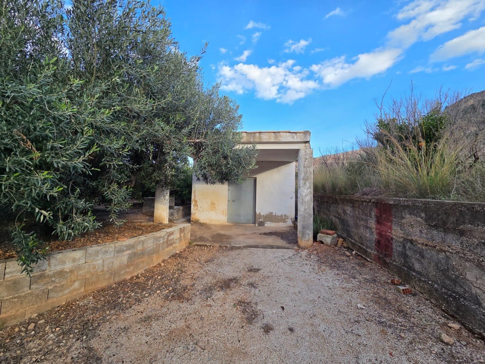 Vista exterior de Finca rústica en venda en L'Atzúbia
