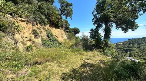 Photo 5 of Residential for sale in Carrer Ramal de Leo, Santa María de Llorell, Tossa de Mar