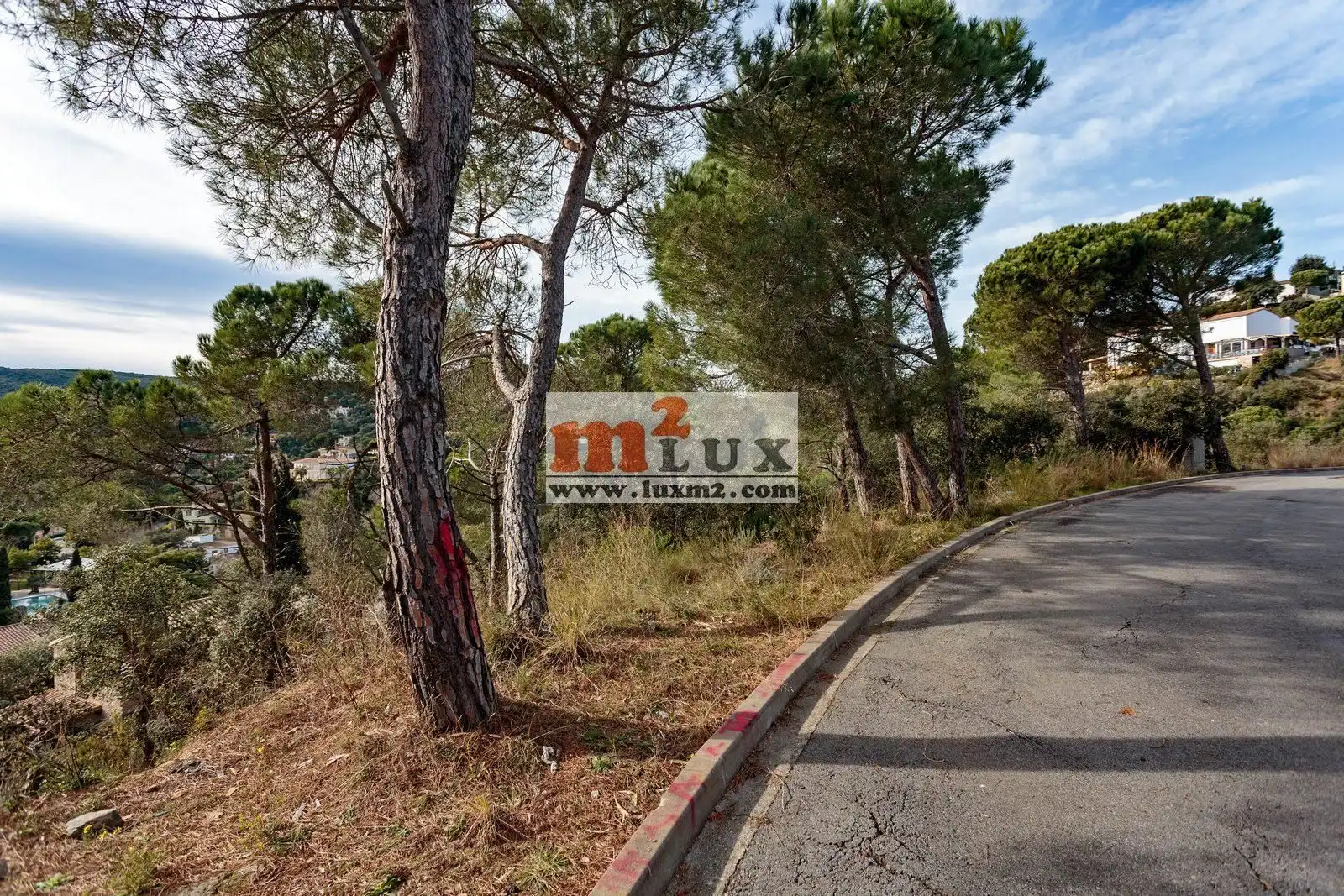 Terreny residencial en venda a Carrer Eucaliptus 14, imagen 3