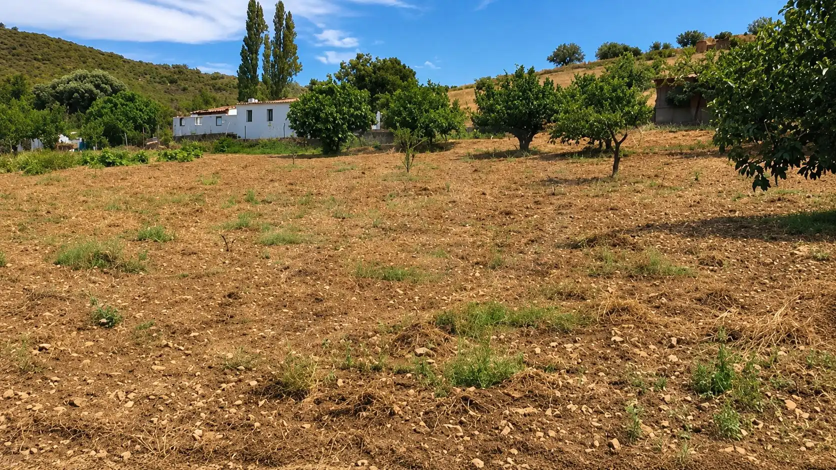 Rural land for sale in Navahermosa, imagen 12