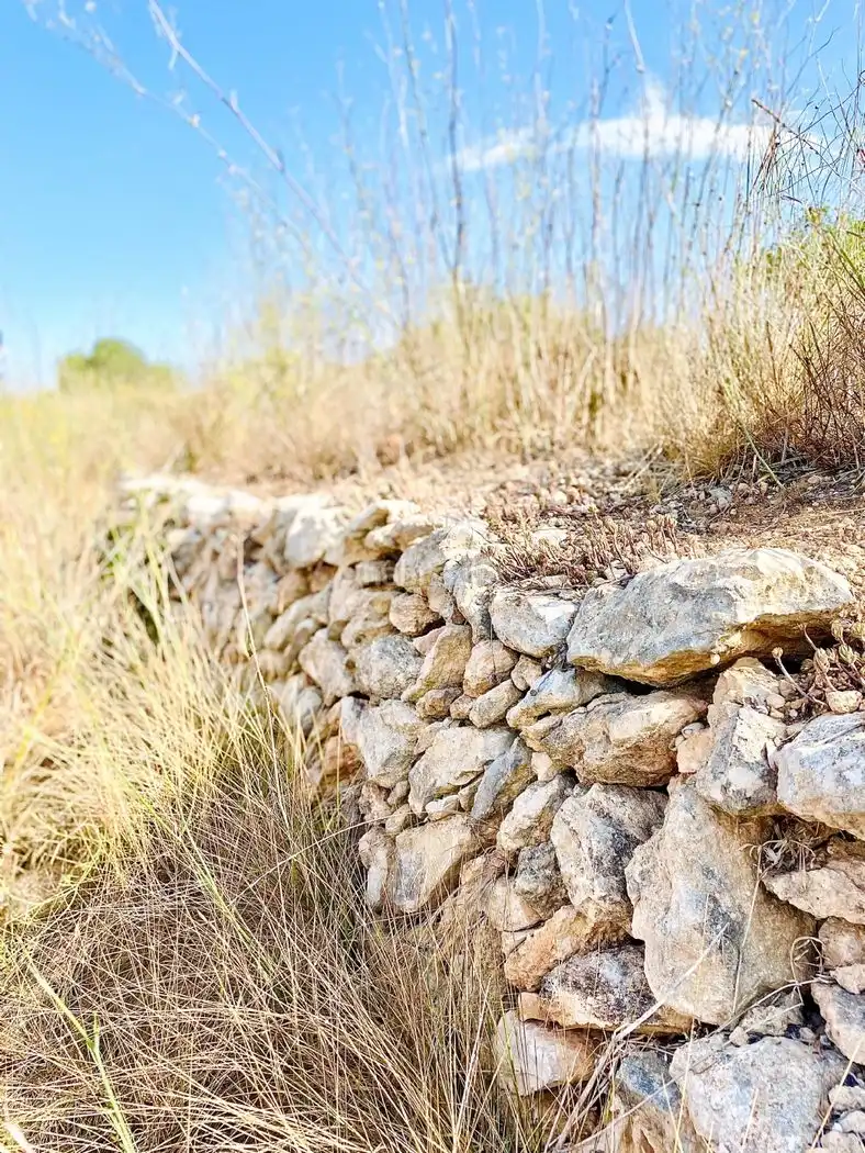 Rural land for sale in Calle Piscina 3305, imagen 3