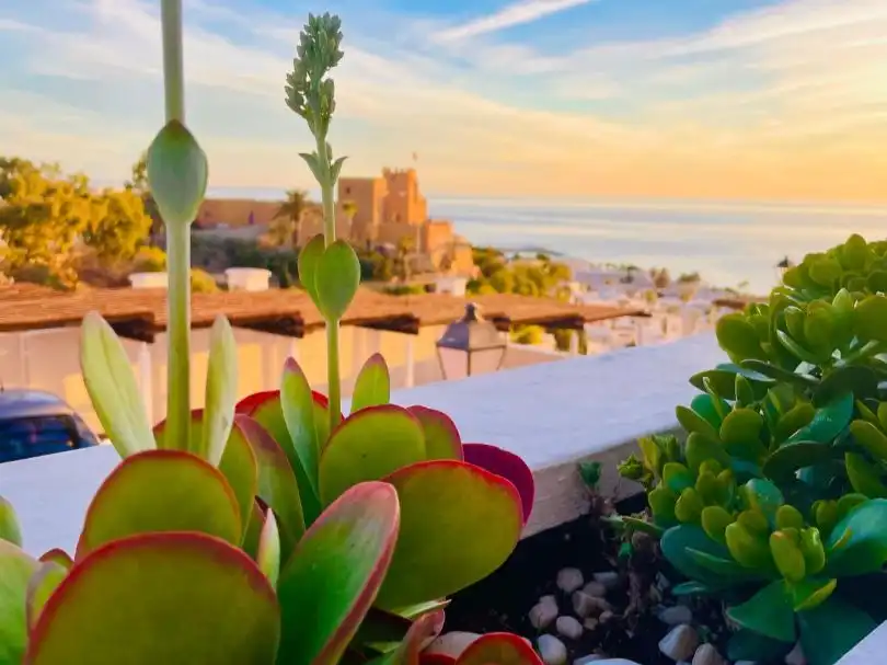 Apartment with pool for sale in Calle Jesus De Perceval 23, imagen 12