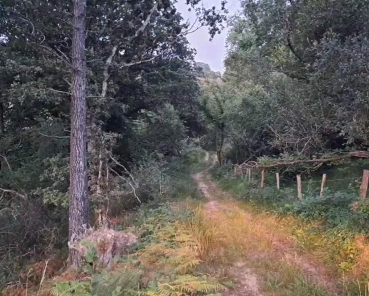 Lands and plots for sale in RIOTUERTO