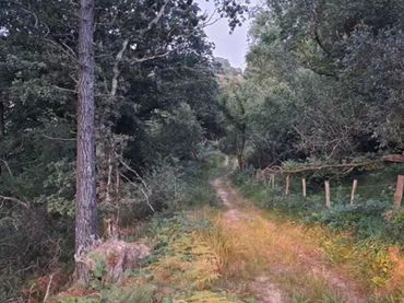 Terrenos y solares en venta en RIOTUERTO