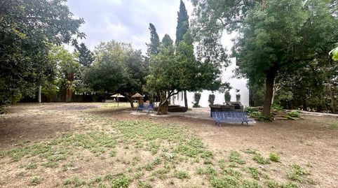 Foto 5 von Country house zum Verkauf in Caballero Bonald - San José Obrero - Guadalcacín, Jerez de la Frontera