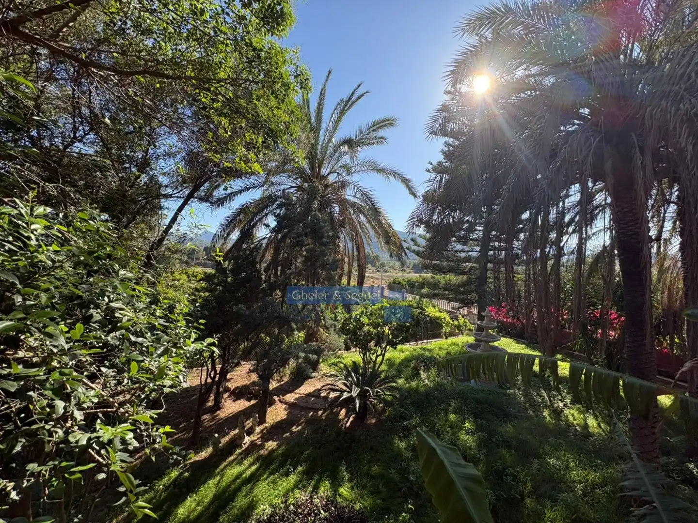 Jardín de Casa o chalet en venta en Albalat dels Tarongers con Terraza