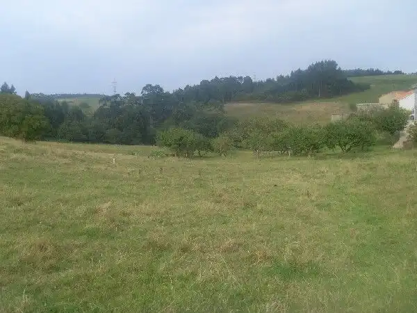 Wohnbaugrundstück zum Verkauf in Bocines - Nembro - Cardo, imagen 3
