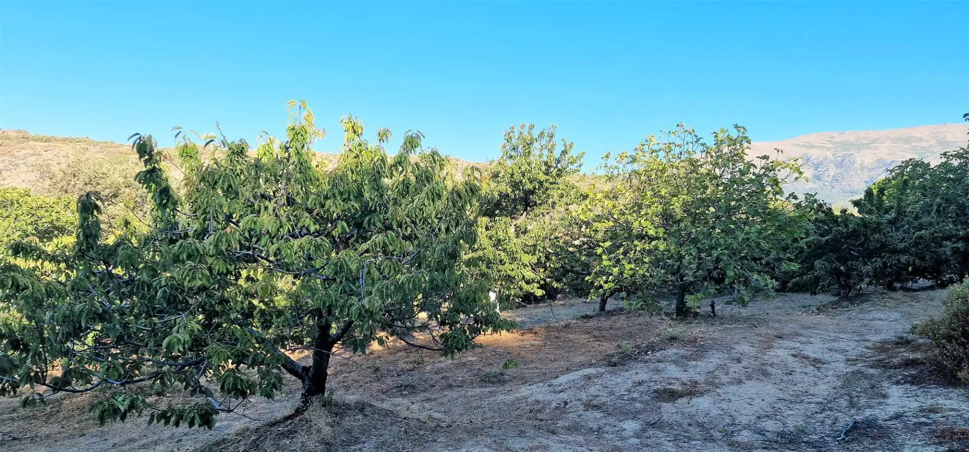 Terreni e lotti in vendita a Aldeanueva de la Vera, imagen 18