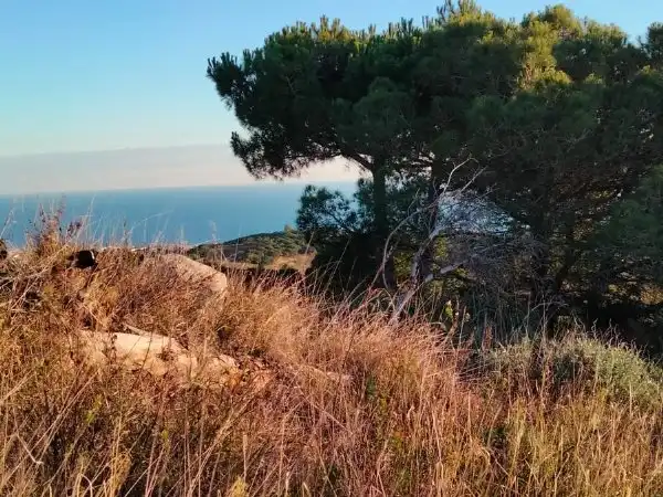 Residential land for sale in Avinguda Sant Mateu, imagen 4
