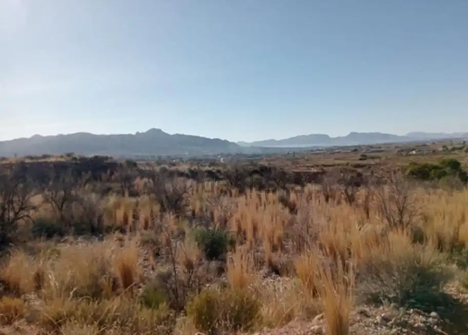 Terrenys i solars en venda a Abanilla, imagen 3