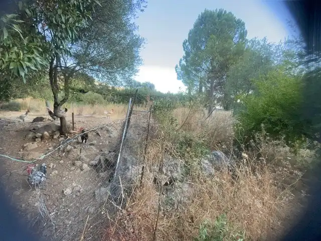 Terrain rustique à vendre à Lugar Tavizna, imagen 3
