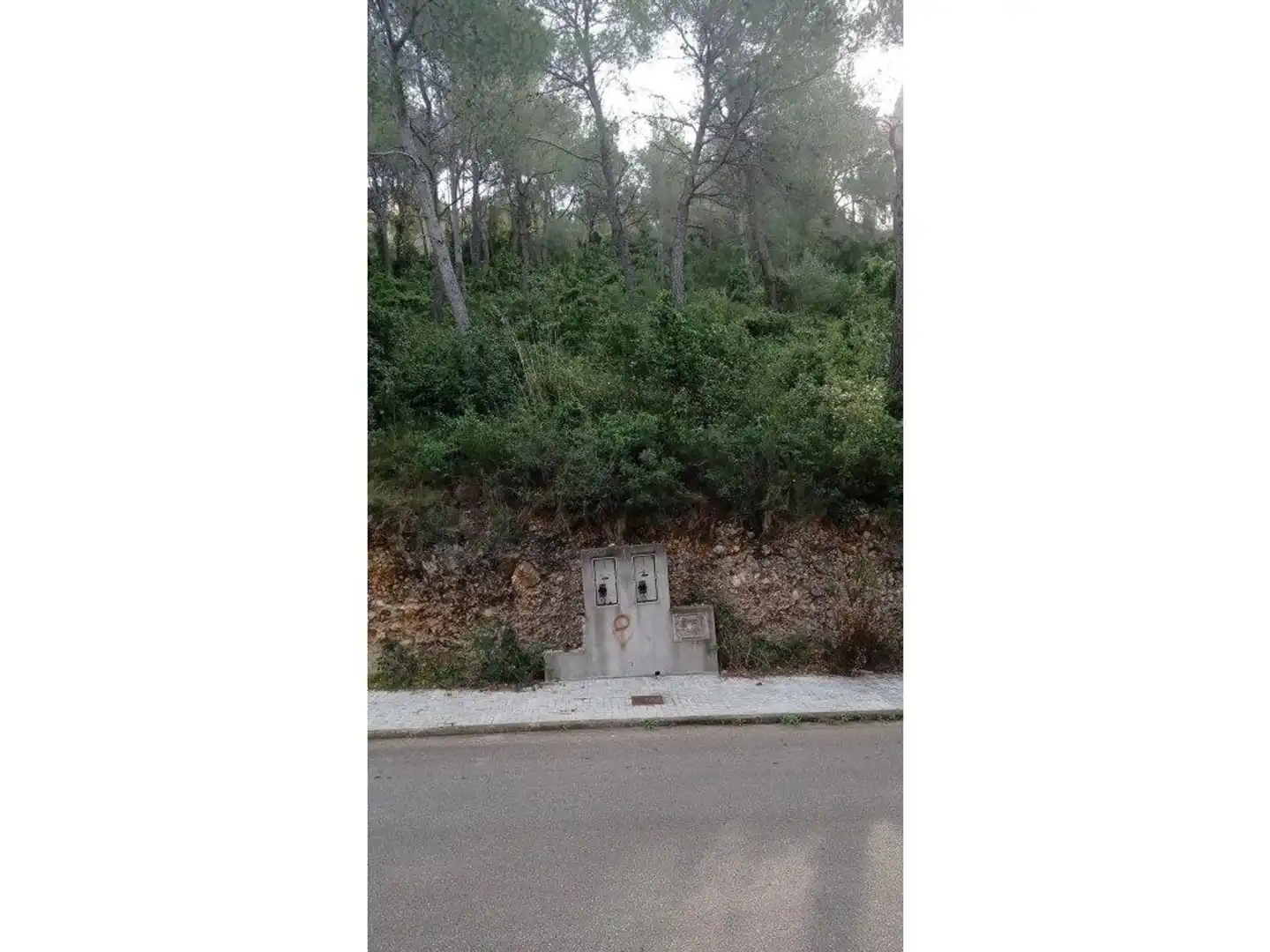 Terreny rústic en venda a Pinos,Los (Trencarroques), imagen 3